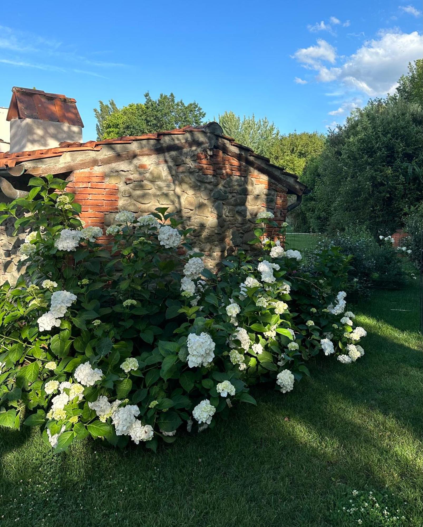 Casale La Gora - B&B Di Charme Figline Valdarno Eksteriør bilde